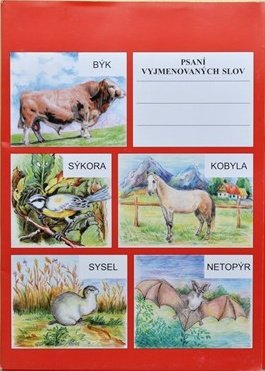 Psaní vyjmenovaných slov