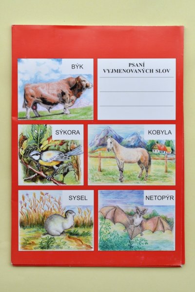 Psaní vyjmenovaných slov
